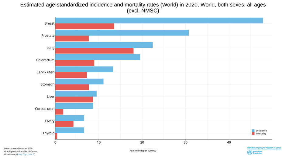 Global Cancer Incidence and Mortality Rates (2020) Global Cancer Incidence and Mortality Rates (2020)