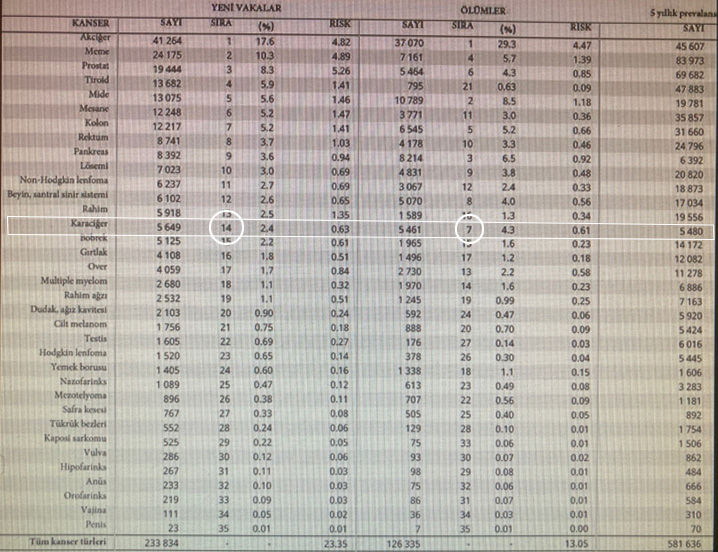 Liver Cancer in Türkiye Liver Cancer in Türkiye