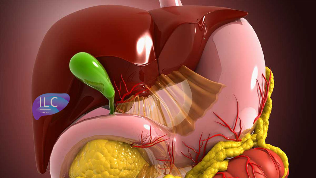 Gallbladder and Biliary Tract Surgery Gallbladder and Biliary Tract Surgery